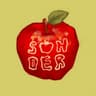 sonder literary logo