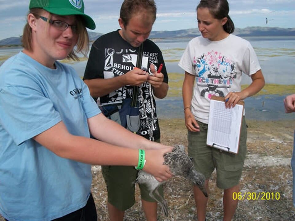 Citizen science and field research for environmental science