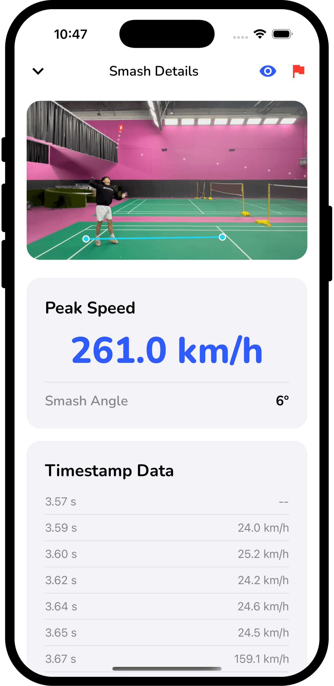 SmashSpeed detecting a shuttlecock on a badminton court