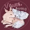 Venus, Darling Magazine logo