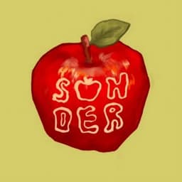 sonder literary